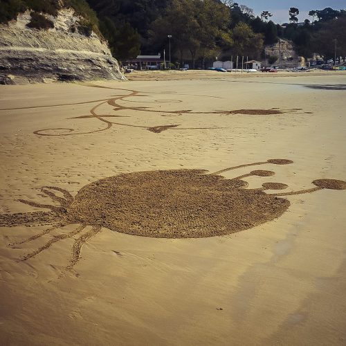 Beach art colibri