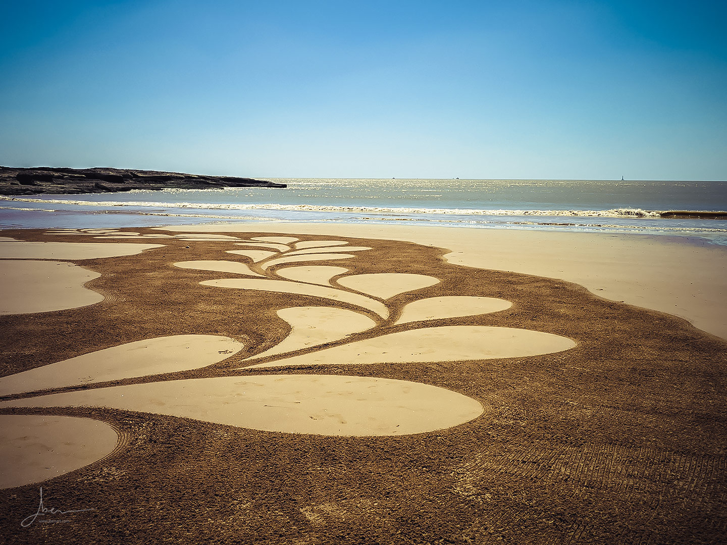 Beach art pétales
