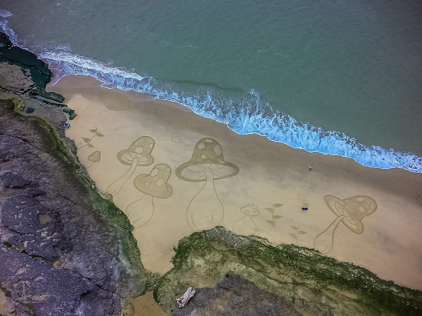 Beach art champignons fous