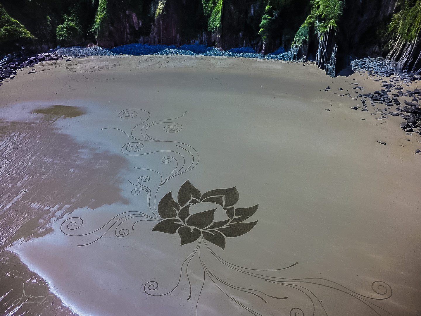 Beach art lotus perdu