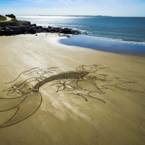Beach art carpe koi