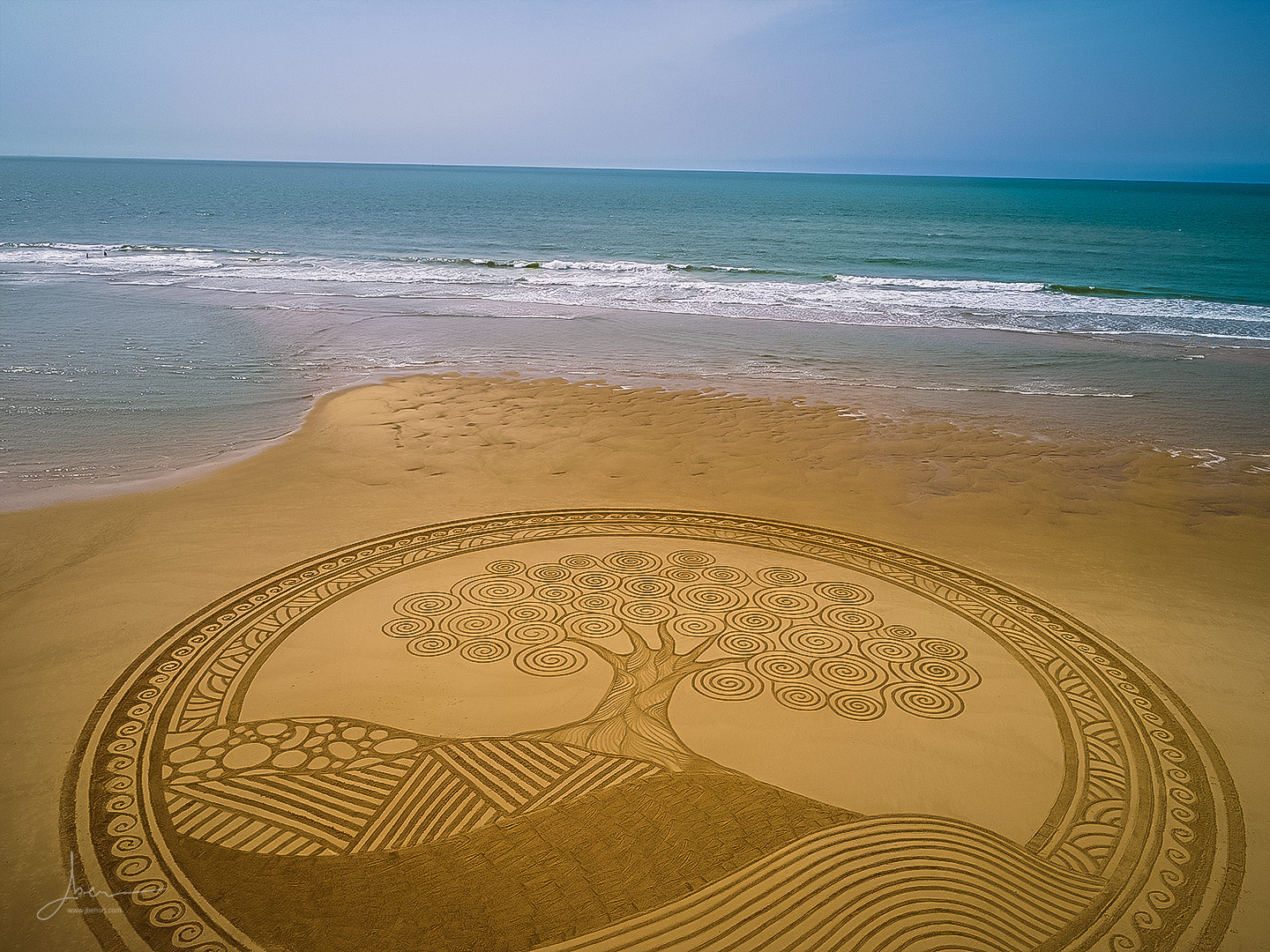beach art arbre ziguigui