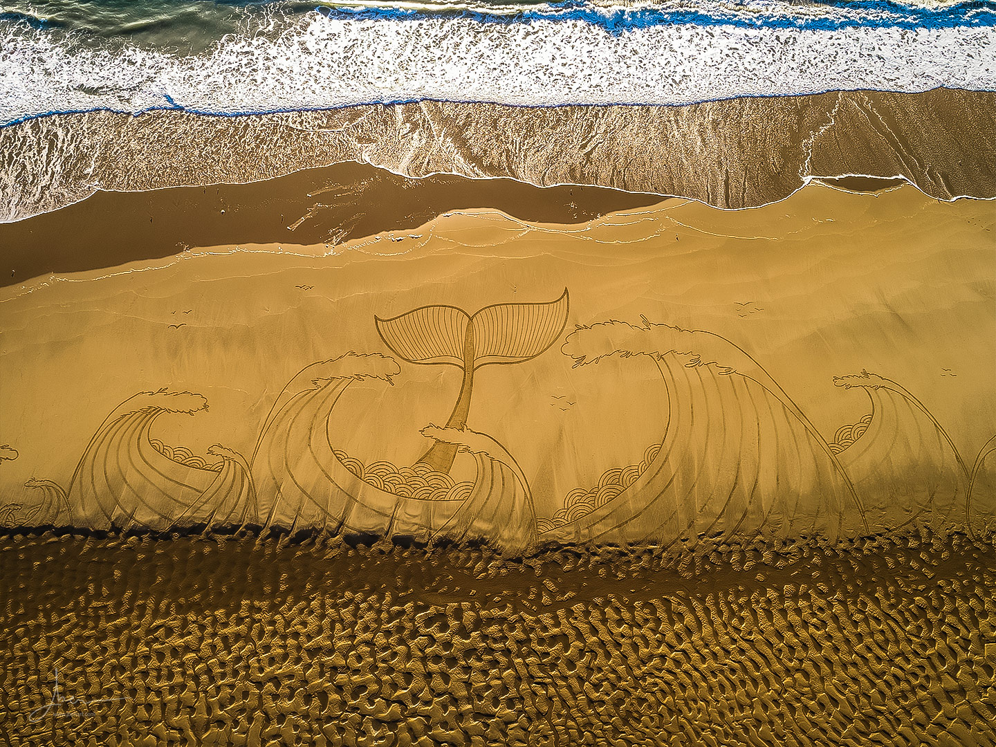 beach art la baleine