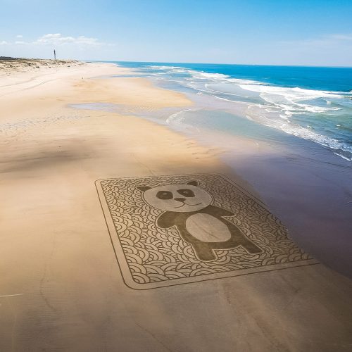 Beach art Patient Panda Sunbathing